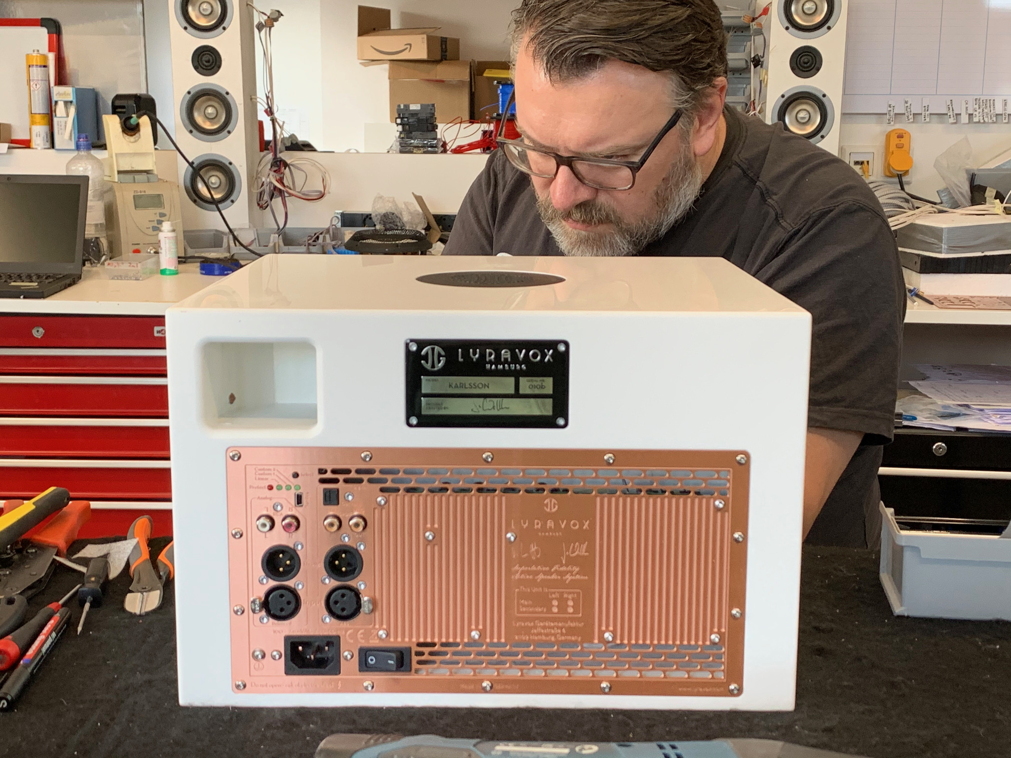 Lyravox Karlsson Rückseite – kupferfarbene Anschlussplatte mit XLR, RCA, SPDIF, Toslink und AES/XLR Eingängen